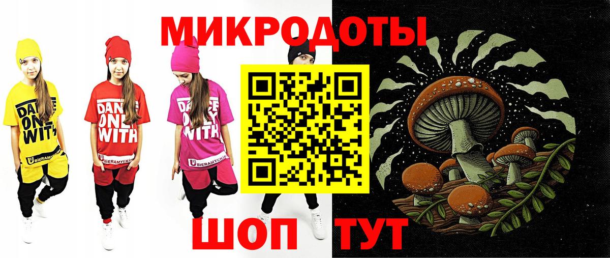 Псилоцибиновые грибы Psilocybe Миасс