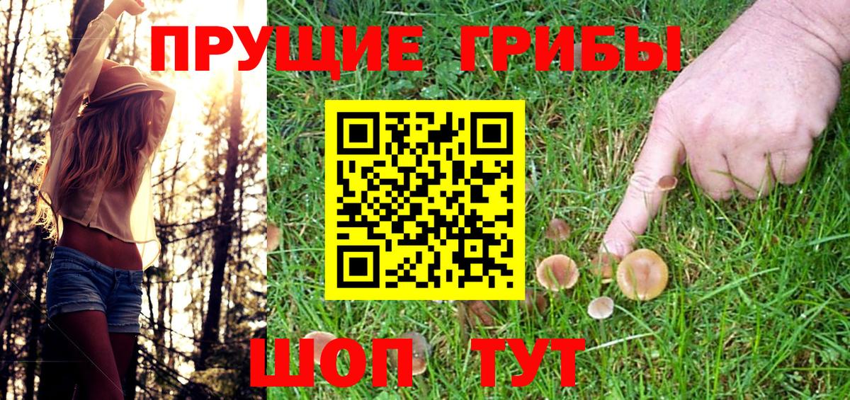 Галлюциногенные грибы Psilocybine cubensis  Вход с VPN  Миасс 