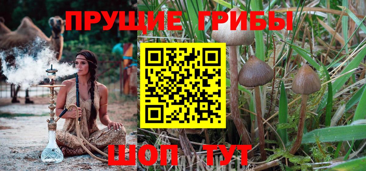 Галлюциногенные грибы GOLDEN TEACHER  Миасс 